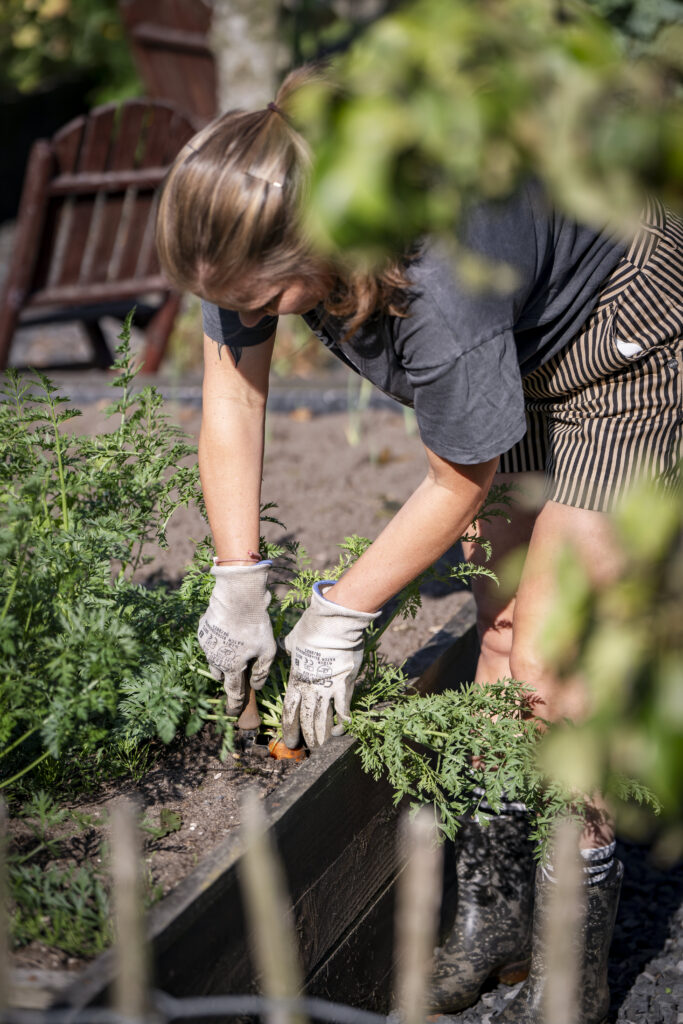 Linsey die haar eigen wortelen aan het verbouwen is, in haar prachtige moestuin